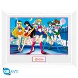 Sailor Moon - Gruppe gerahmtes Bild